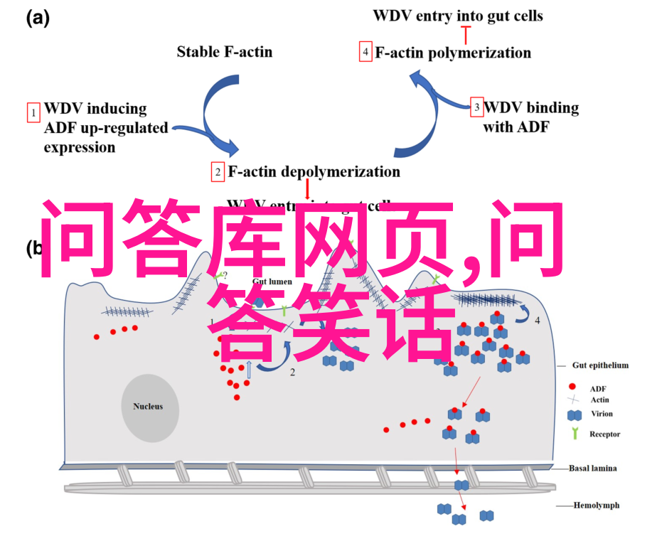 醉心绘影红酒之下手牵手的温柔时光