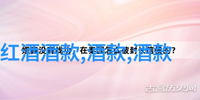 冬日温馨冬季节奏下的暖心红酒聚餐主题建议