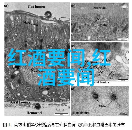 从星空到垃圾堆趣味抢答题的反差挑战