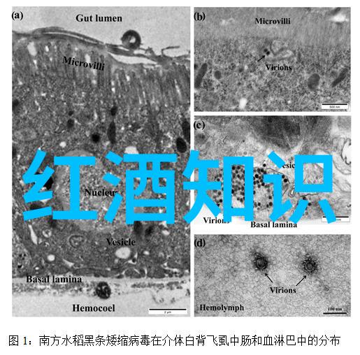 维护社区氛围与他人协作成为优秀的 百度答主