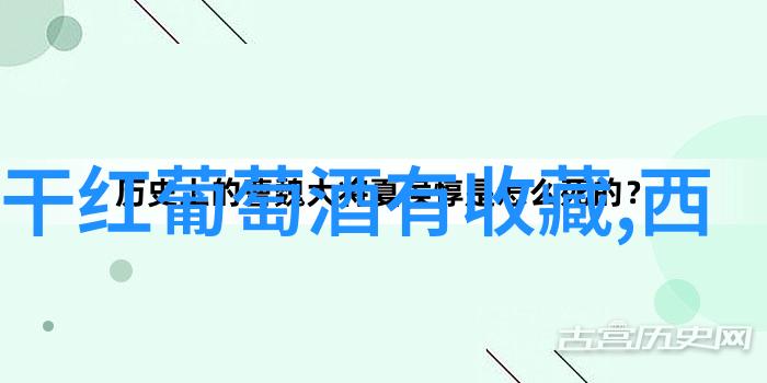 西班牙里奥哈葡萄酒产区我在里奥哈的葡萄酒之旅品味古老传统与现代魅力