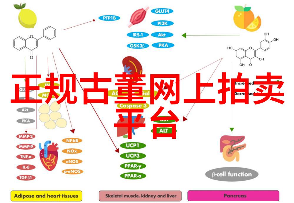 主题你知道吗中国葡萄酒产区有哪些