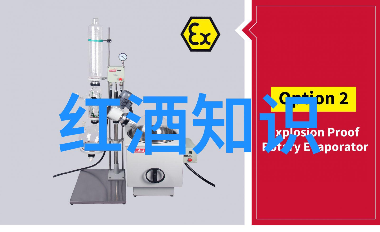 从画到字北京四大收藏家的艺术世界