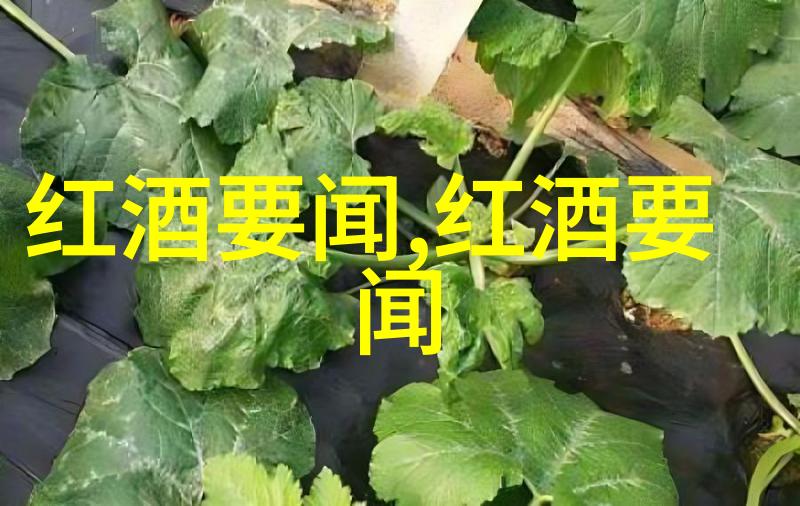 香脆夹心饼干与滋味无限的红烧肉两者交融成一篇美食故事