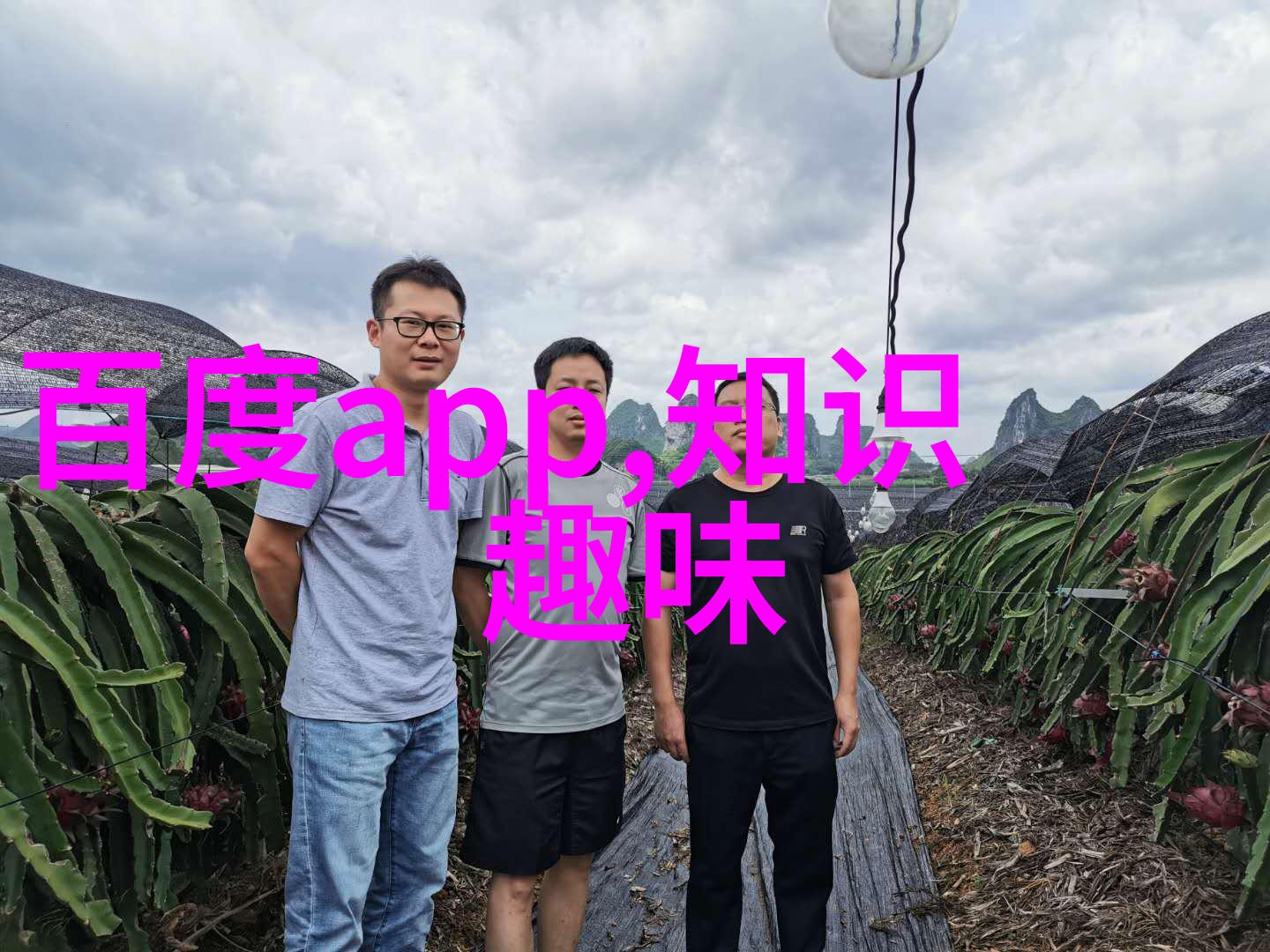 远离喧嚣体验上海周边自然风光