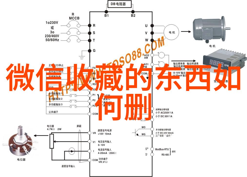 远古入侵新世界古代文明的未知征程在新大陆的奇迹重现