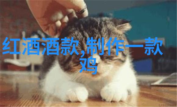 猫名大全喵喵的宠儿名字集锦