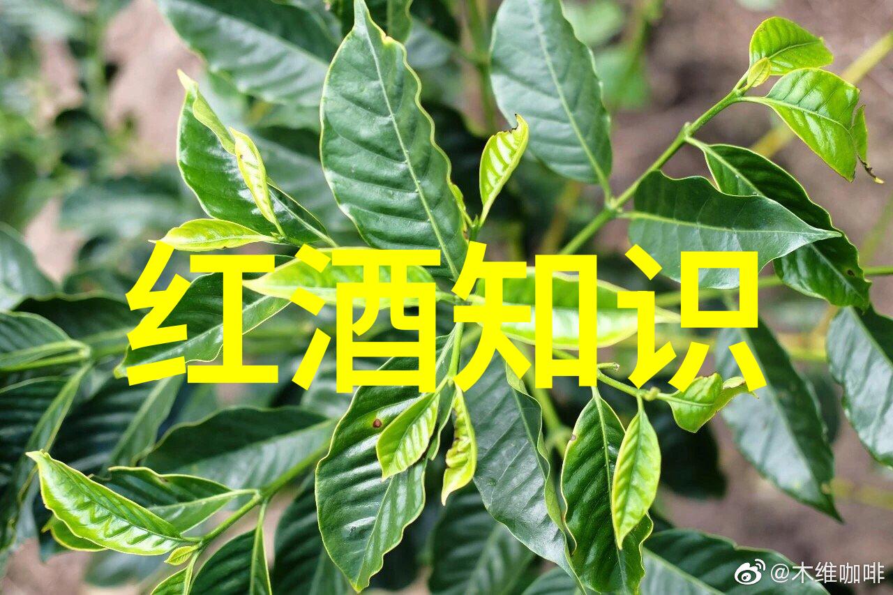 地球环境合作伙伴的精英纳帕谷葡萄种植者占据1收藏钱币市场价格闪耀其价值