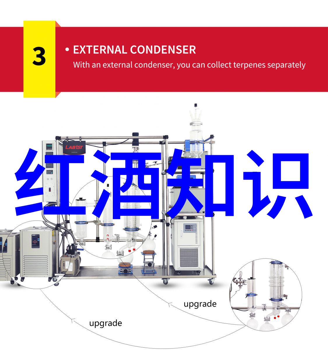 品味人生亿园文化红酒与美食的交融之舞仿佛天赐良机赋予了我们的舌尖一场视觉与味觉的盛宴