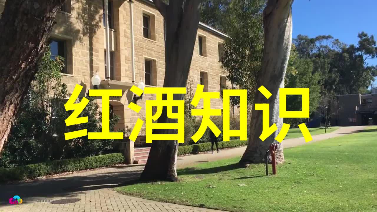 智能问答系统智慧之网解惑之绳