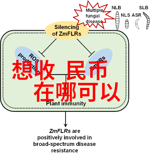 品味红酒文化不必花哨只需基础知识就能成为一位人物