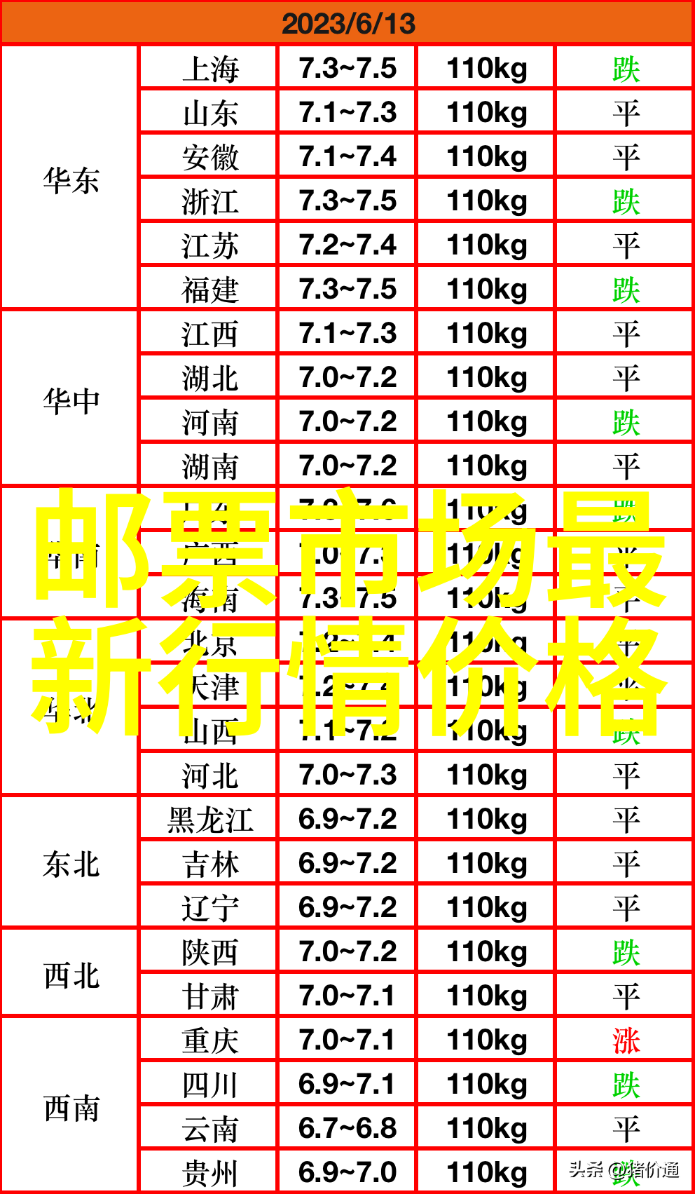 猫咪品种大比拼哪只猫能让你笑得像个傻子