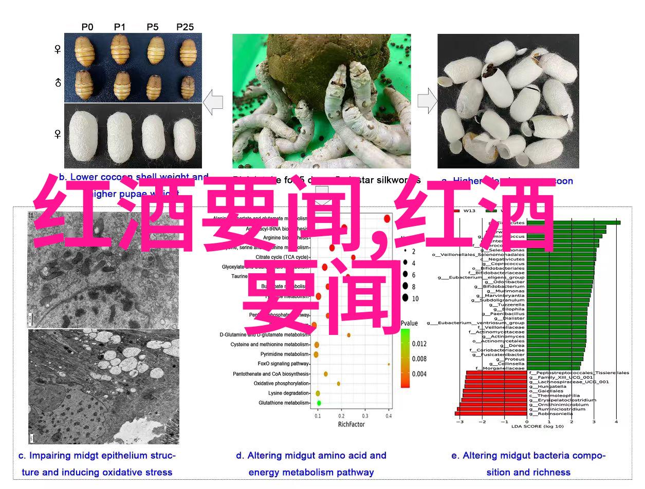 葡萄酒的八大产区品一杯让我想起了那些醉人的故事