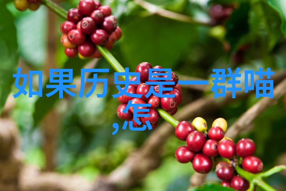 强力补甜茶桂圆碧螺春茶