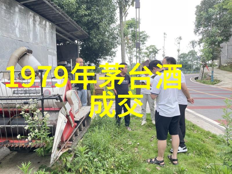 超凡魅力的瞬间揭秘摄影师如何捕捉人生最美的表情