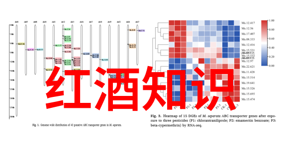 百度问一问答题赚钱不再难从网虫到富翁的奇妙之旅