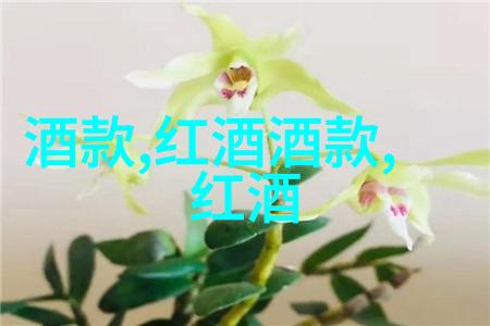 绚烂花海玫瑰之名的诗篇