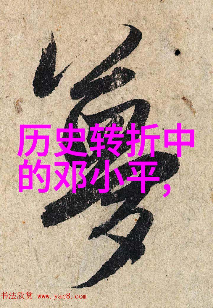 从星光到尘埃名人的奇异转变