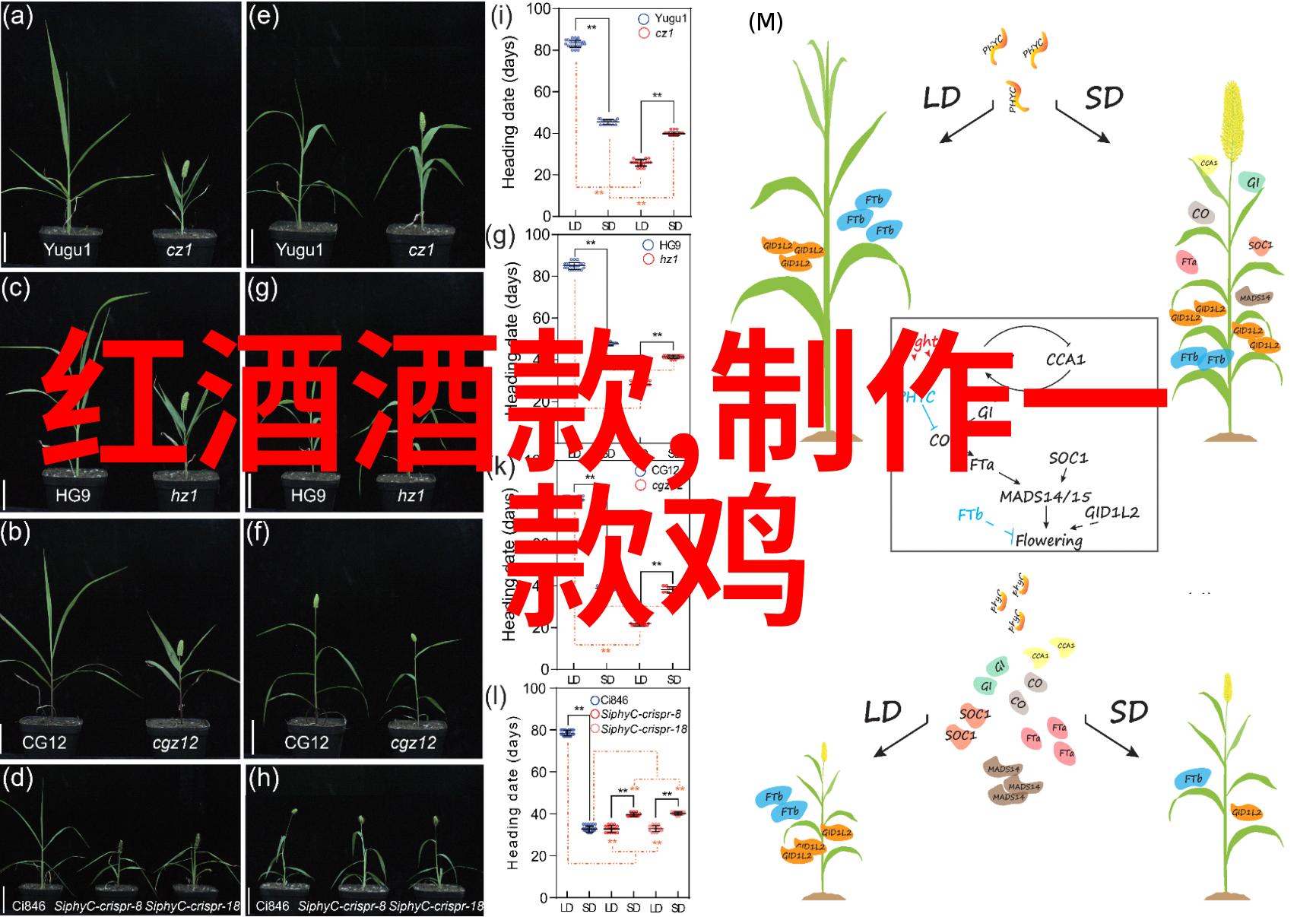 一步一步画人物全身我来教你怎么画出完美的角色了