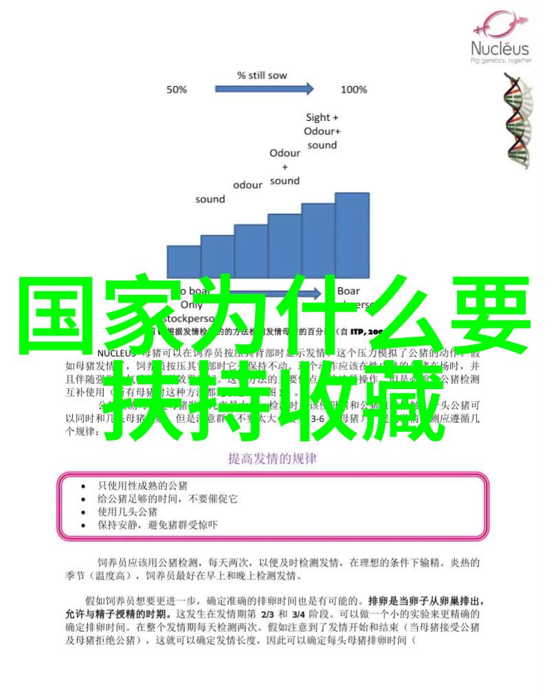 猫咪的多样魅力探索众多宠物猫品种的独特之处