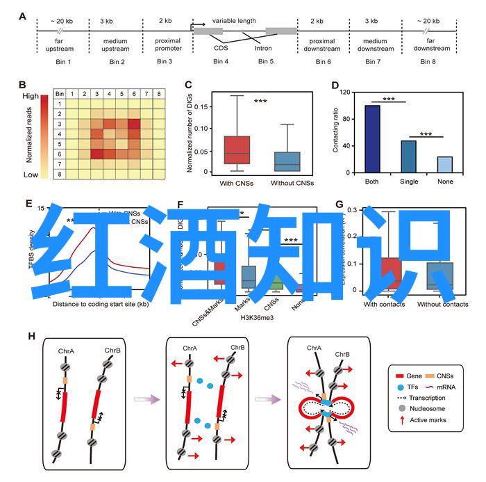 半夜妺妺叫我满足她我被半夜的呼唤牵连