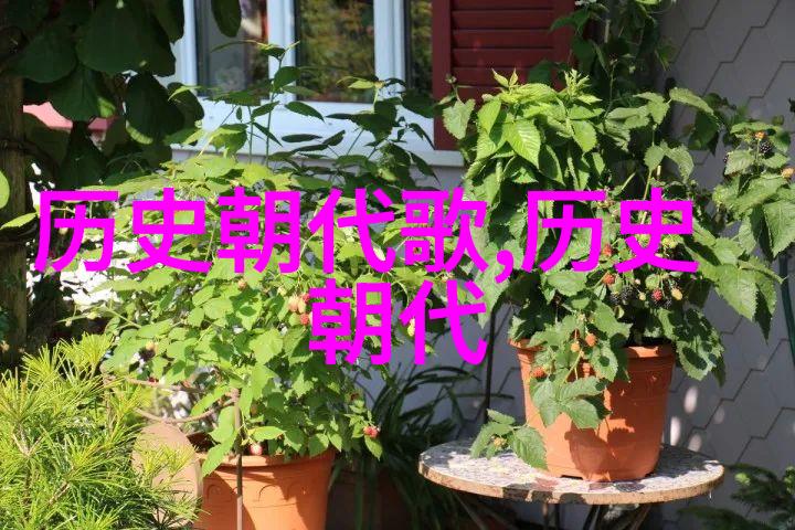 不收费上门收购古钱币品味卡斯特罗班菲2017年蒙塔尔奇诺布鲁奈罗葡萄酒DOCG