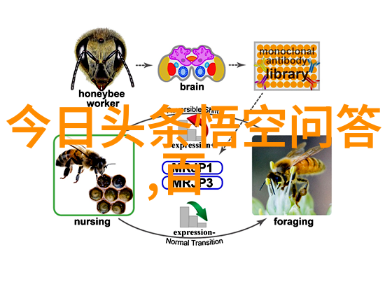 上海附近省份旅游景点