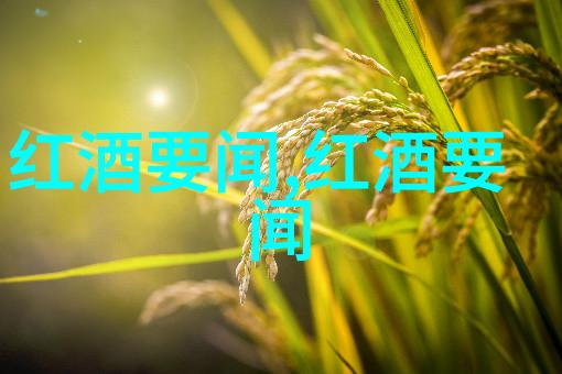 周边100公里自驾探秘发现隐世美景的行程指南