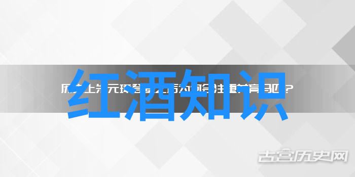 精致与野性并存剖析全球最佳看点特色的冠军级别最高质量坚果和干果