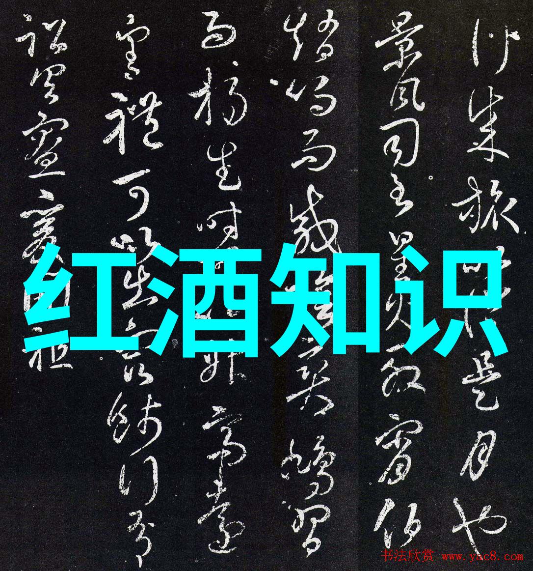 从繁华街区到隐秘园林成都周末一日游的反差之旅