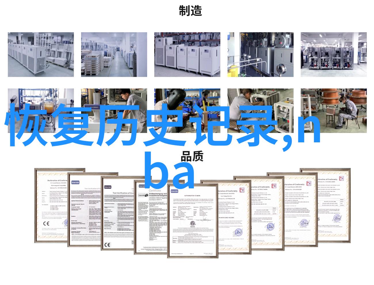 主题-菲克老虎金呆了守护篮球梦想的不屈精神