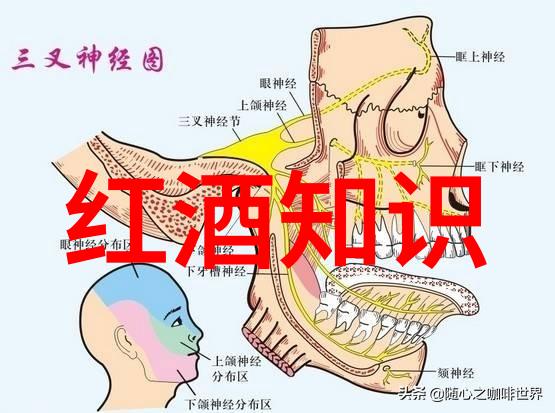 在问答网的深夜登录的灯火映照着一位勇敢的骑士他正准备踏上征途换取美酒与一位古老传说中的英雄同享万古愁