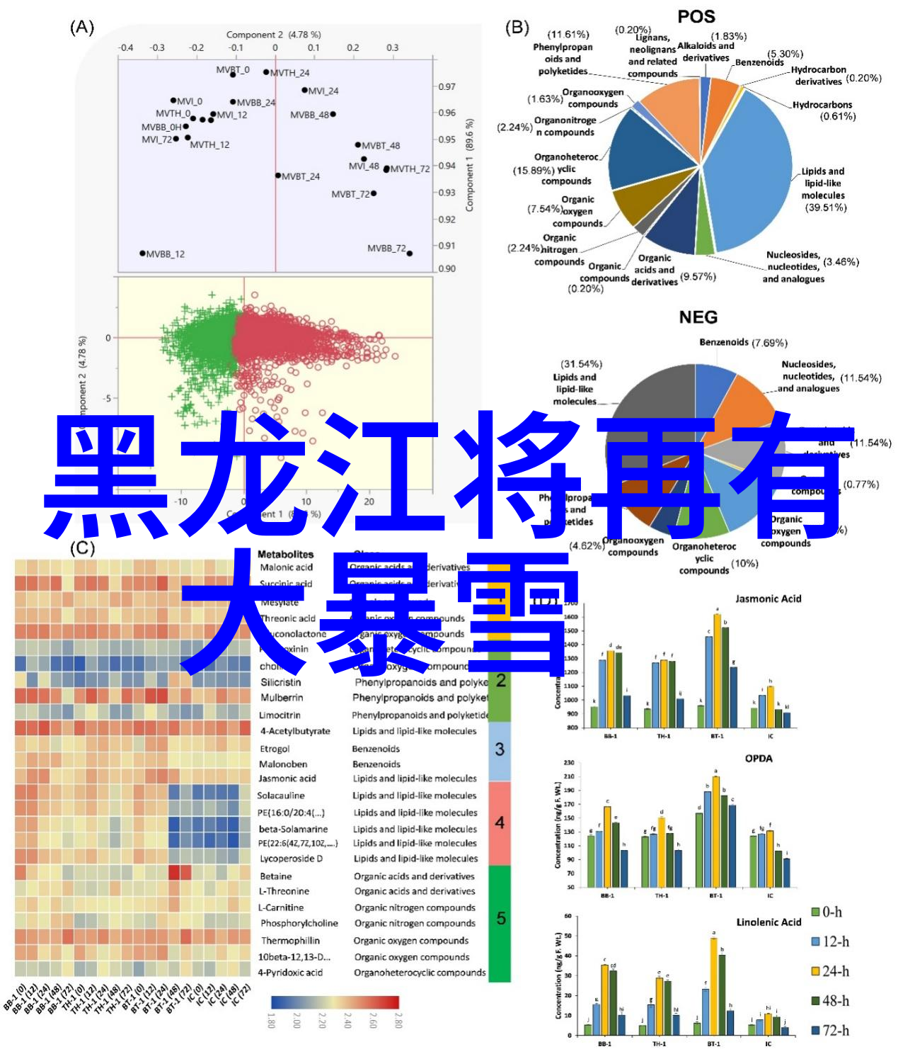 超凡收藏家的艺术梦想