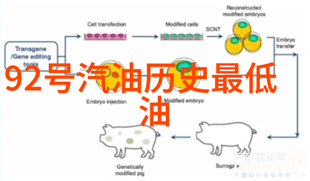 主题我是如何画出钱币收藏价格表的