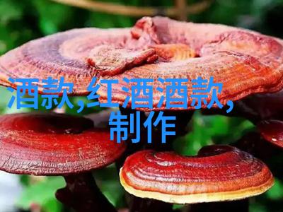 2017赤霞珠干红葡萄酒750ml品味澳洲酿造的典范