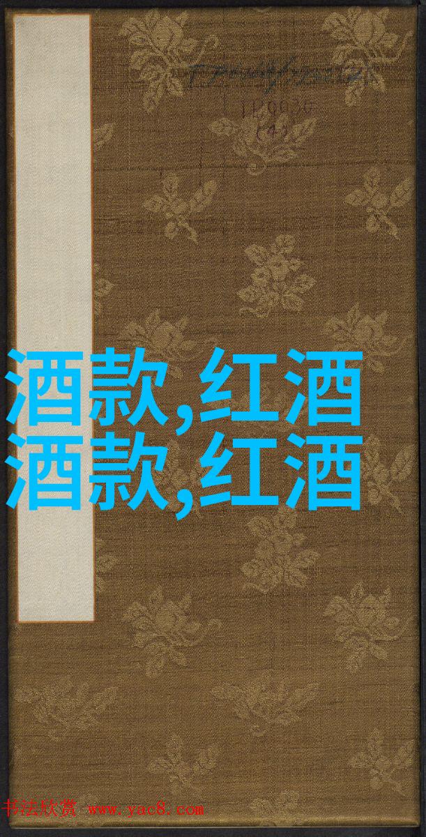 社会救赎者面对困境的慈善行动者