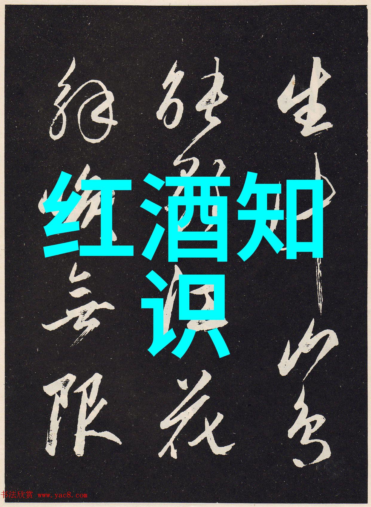 在这个充满魔法的世界里为什么那些可爱的人物总是围绕着它们的形象编织出如此迷人的故事呢