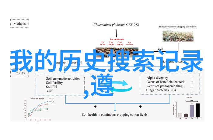 心向往之手可及此如何高效管理你的下载收藏夹