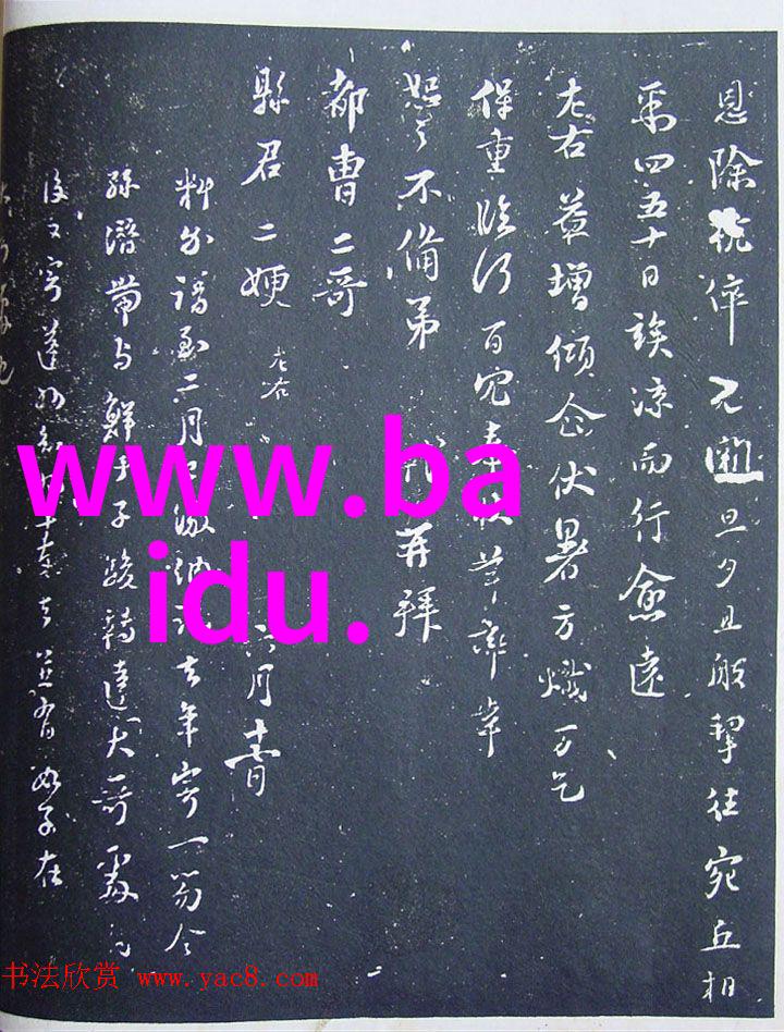 塔科马周围的7家新酒吧已准备好迎接节日娱乐和元旦起泡酒甘肃玉米种子十大品种如同丰富多彩的物品展现