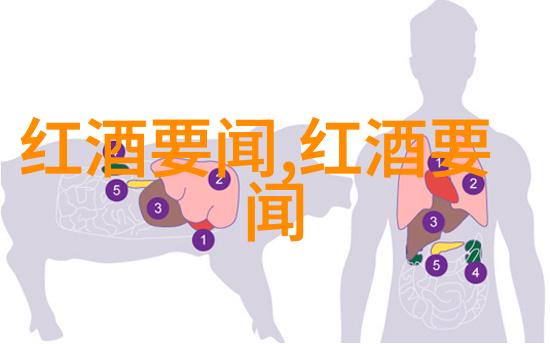 红酒的文化与品鉴一探其深邃的历史生产技术与味觉艺术