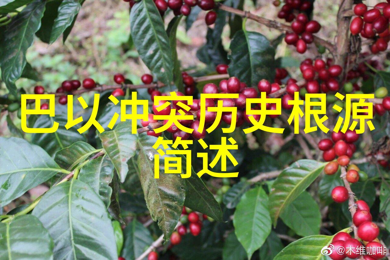 猫影幻变揭秘毛茸茸的品种之谜