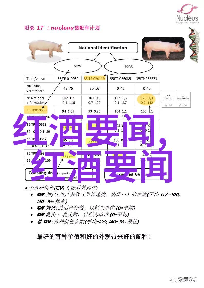 Liviri为Vino系列添加了三款玫瑰花香葡萄酒运输箱用于DTC直送场景中的人物体验提升