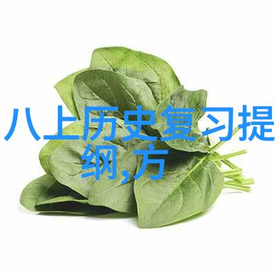 收藏天下app下载我是如何在手机上收集世界的宝藏的