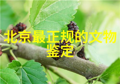 旧版人民币收藏之谜背后的价值与故事