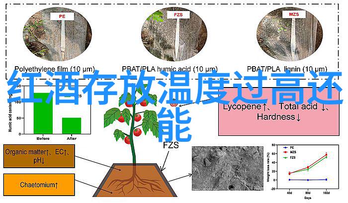 成都二日游必看攻略探秘锦里古镇与大熊猫基地