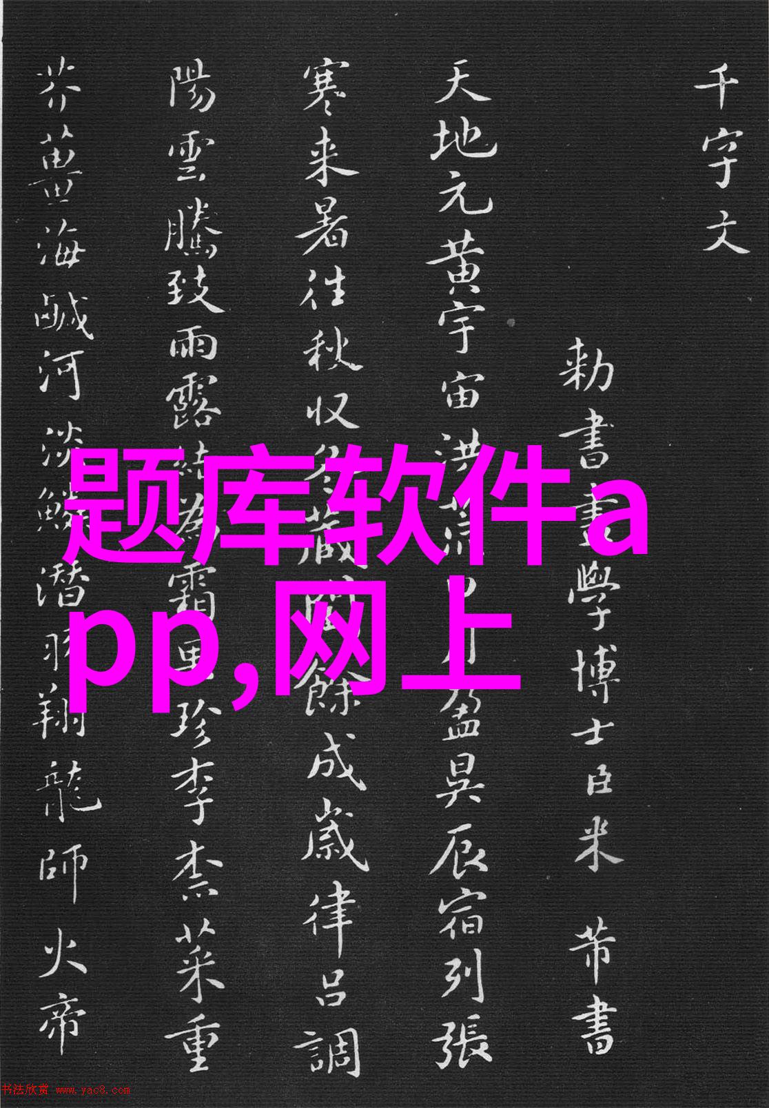 40岁阿姨荒野大镖客一我阿姨在荒野上也能当个超级牛B的镖客