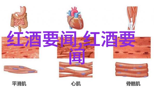 中国历史上的巨星塑造国运的卓越智慧与勇气