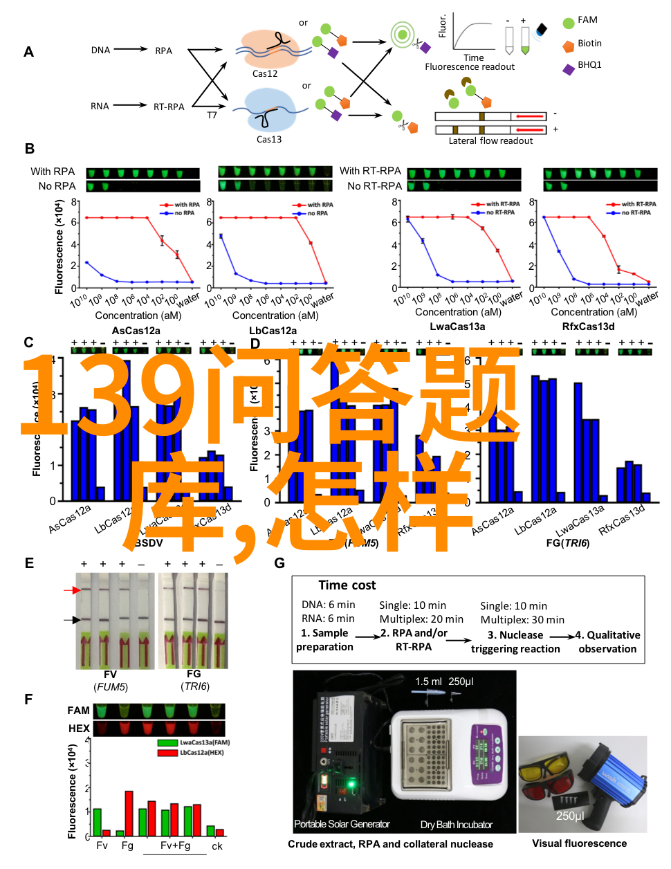 你是否在寻找一款手游可以自由建造自己的家园就像九品红酒业一样醇厚深邃