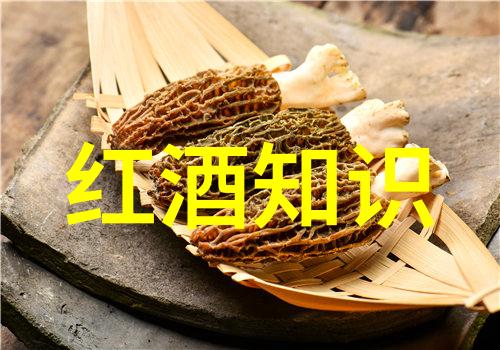 超级英雄如蝙蝠侠蜘蛛侠科技巨星比尔盖茨马斯克和社会先锋甘地玛尔加里特萨拉斯