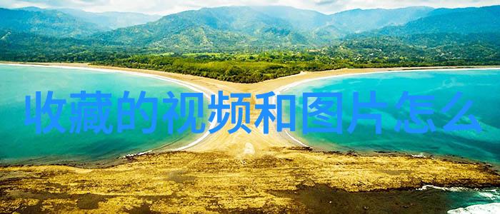 新风尚兰州庄园牧场盛夏报告